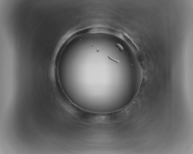 X0000111790152200907231150