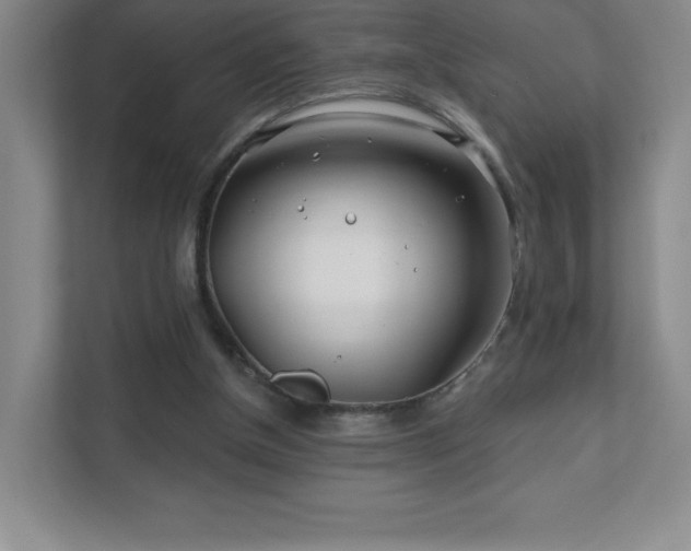 X0000111790154200907231150