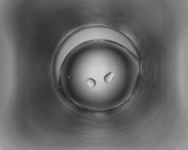 X0000111790156200907231150