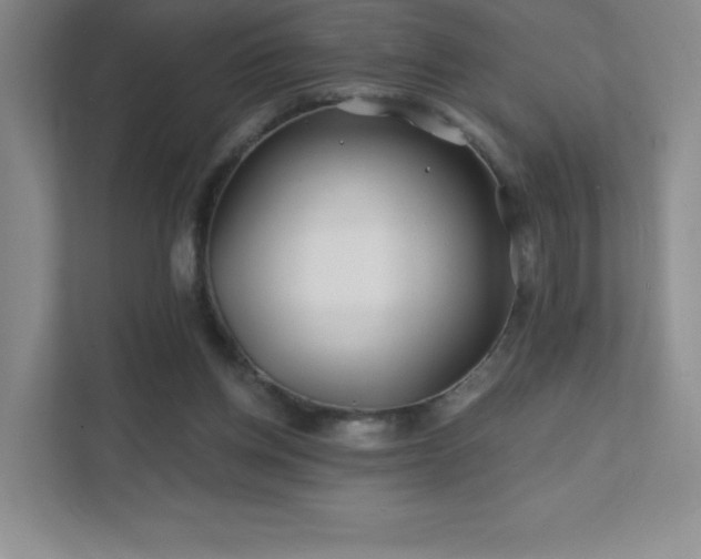 X0000111790158200907231150