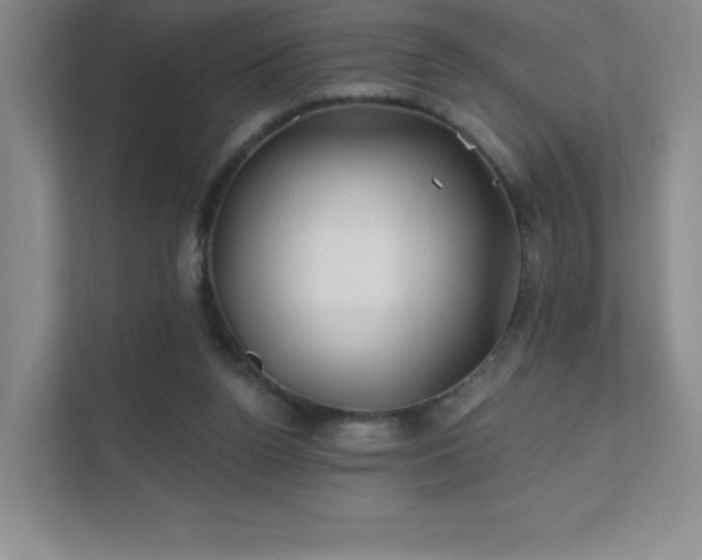 X0000111790160200907231150