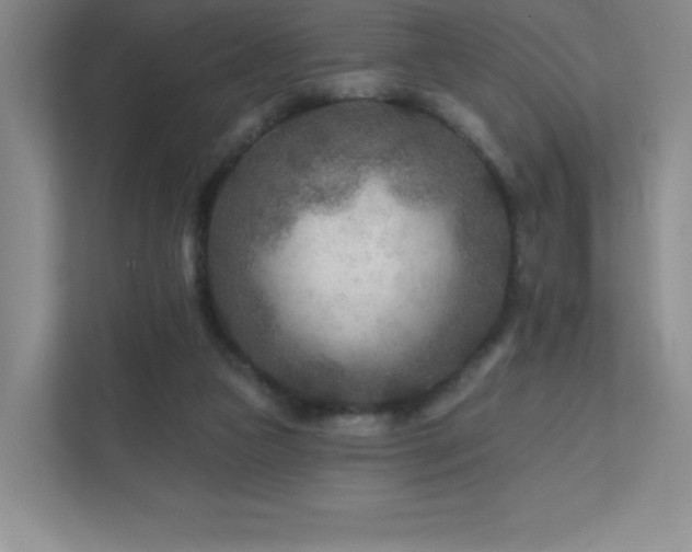 X0000111790161200907231150