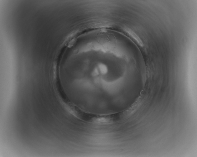 X0000111790163200907231150