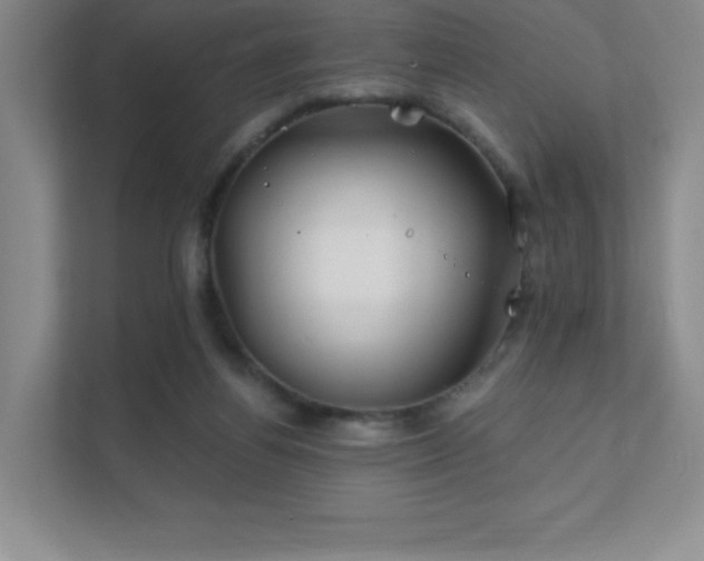 X0000111790164200907231150