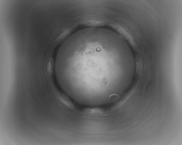 X0000111790165200907231150