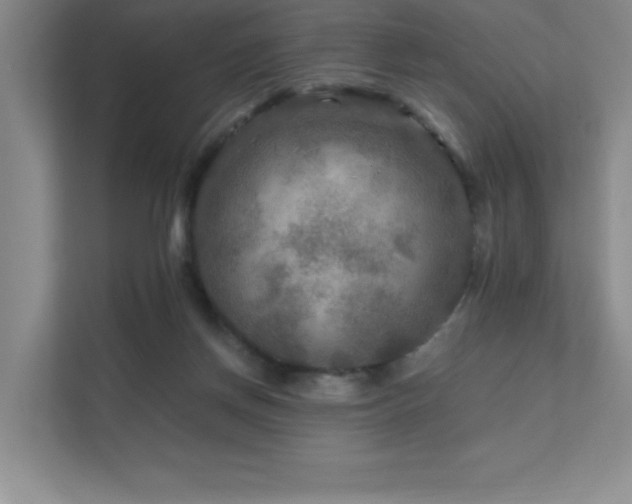 X0000111790166200907231150