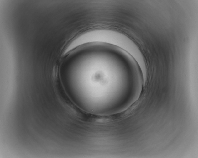 X0000111790168200907231150