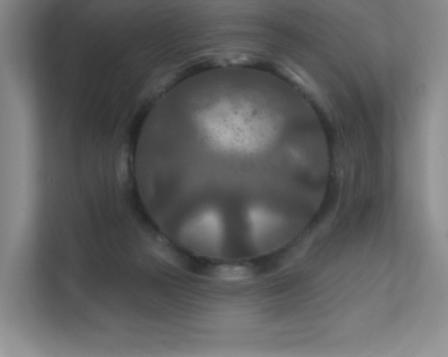 X0000111790169200907231150