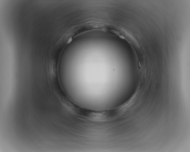 X0000111790170200907231150