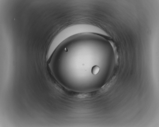 X0000111790172200907231150