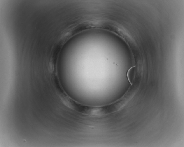 X0000111790173200907231150