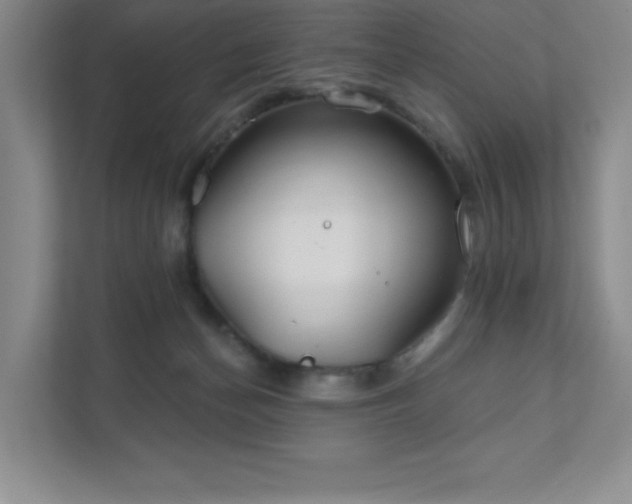 X0000111790174200907231150