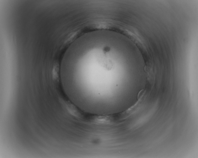 X0000111790175200907231150