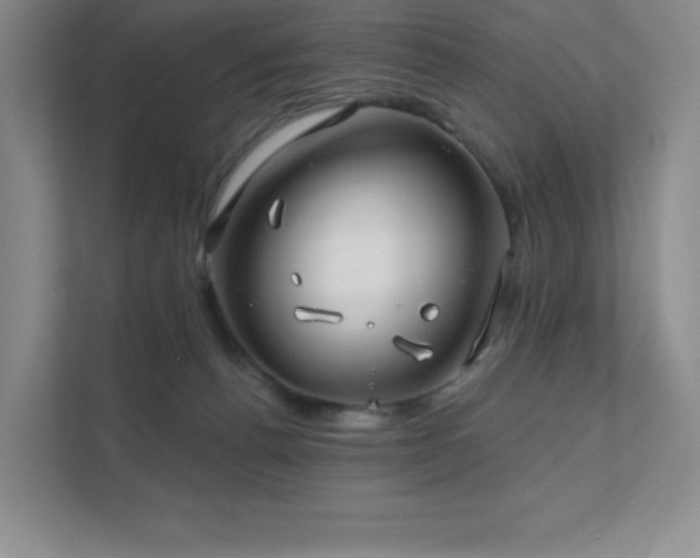 X0000111790176200907231150