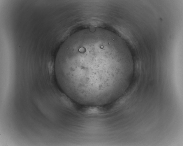 X0000111790177200907231150