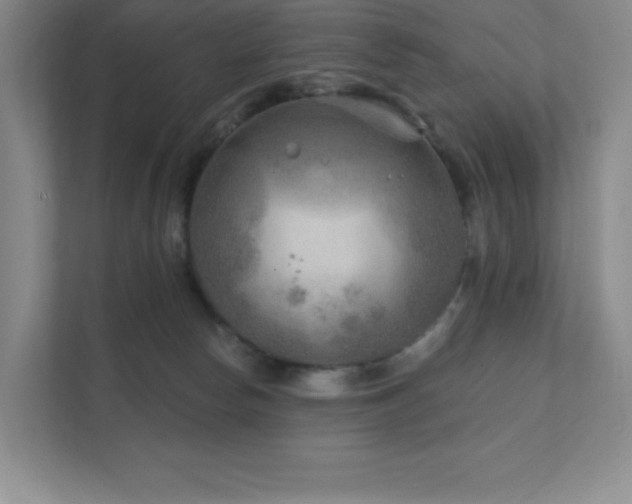 X0000111790178200907231150