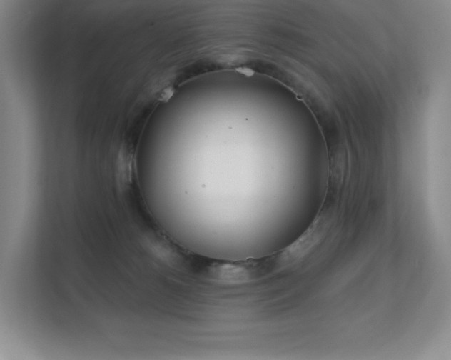 X0000111790180200907231150