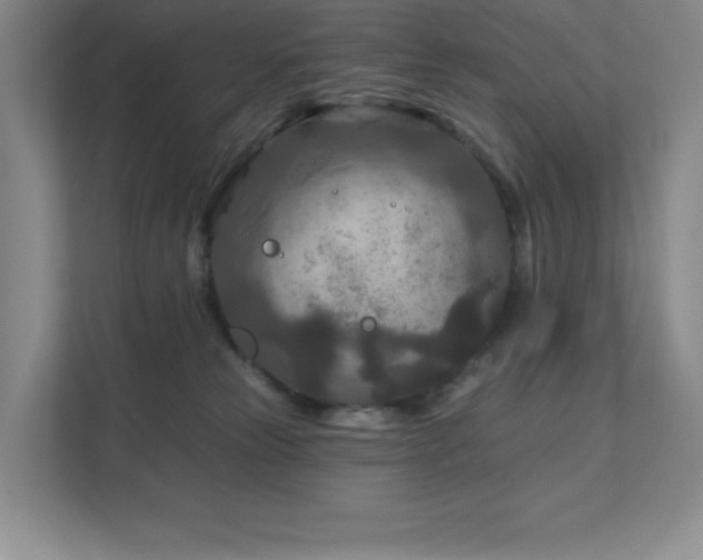 X0000111790181200907231150