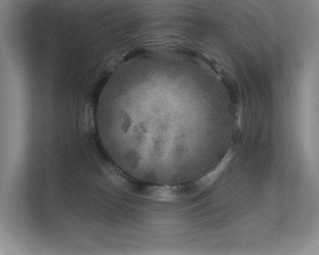 X0000111790182200907231150