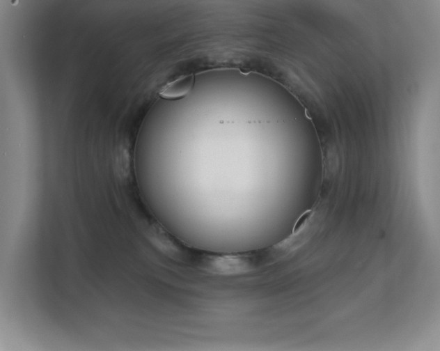 X0000111790183200907231150