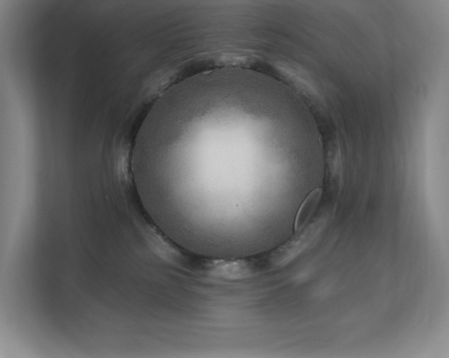 X0000111790185200907231150