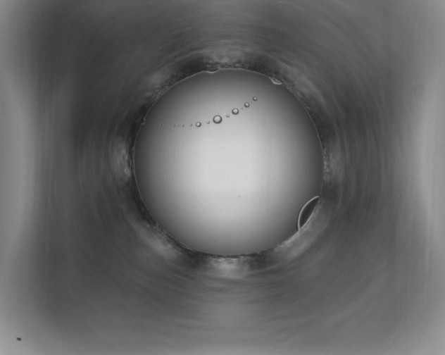 X0000111790187200907231150