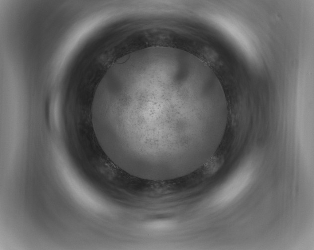 X0000111790189200907231150