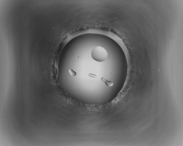 X0000111790192200907231150