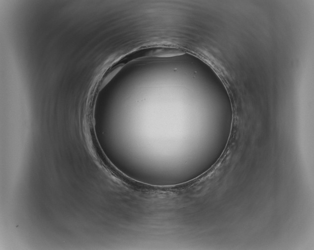 X0000111790193200907231150