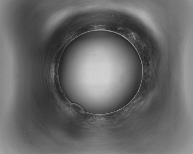 X0000111790194200907231150