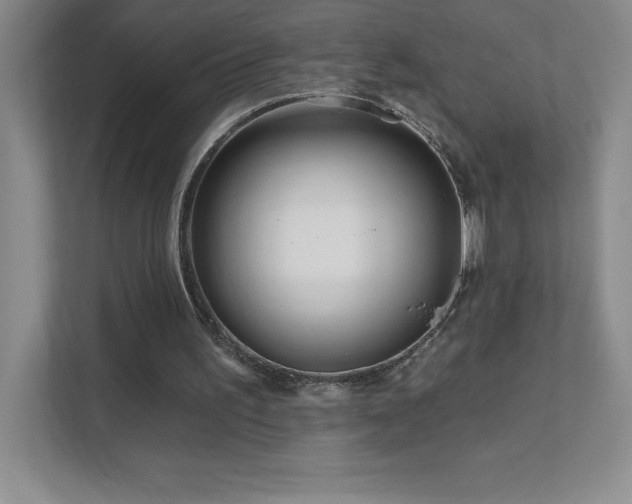 X0000111790195200907231150