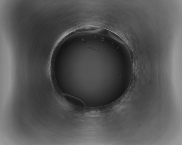 X0000111790196200907231150