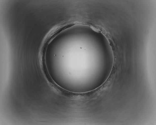 X0000111790197200907231150