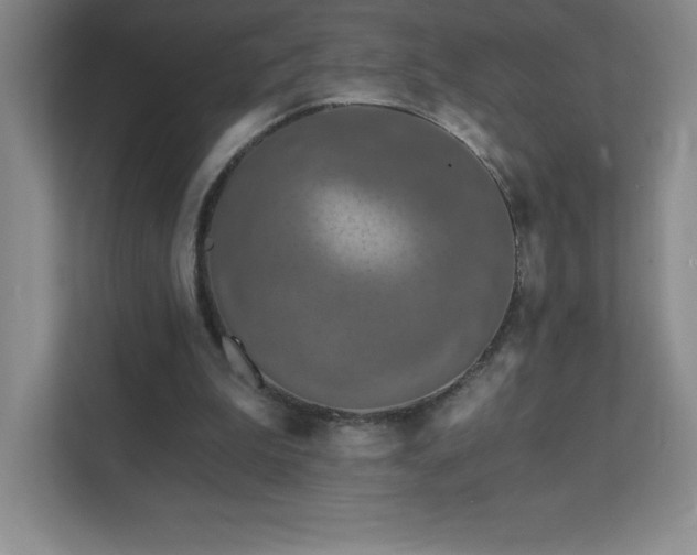 X0000111790199200907231150