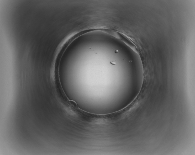 X0000111790200200907231150