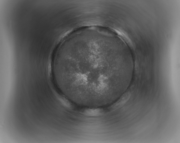 X0000111790202200907231150