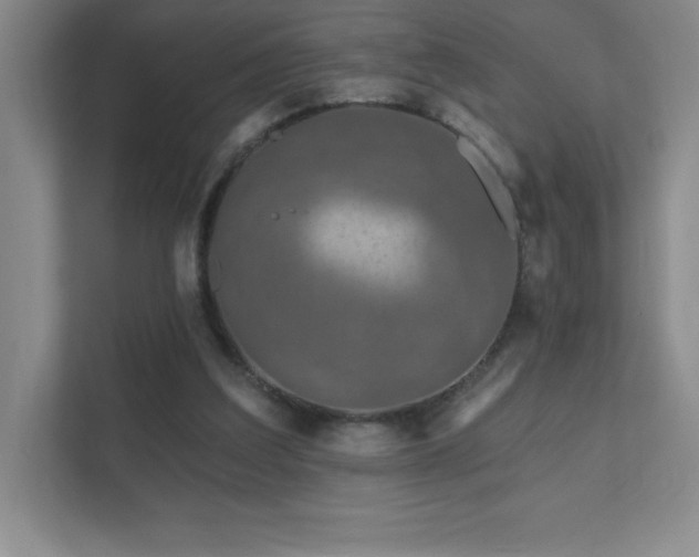 X0000111790203200907231150