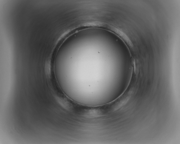 X0000111790204200907231150