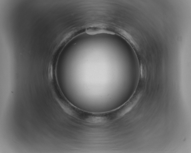 X0000111790205200907231150