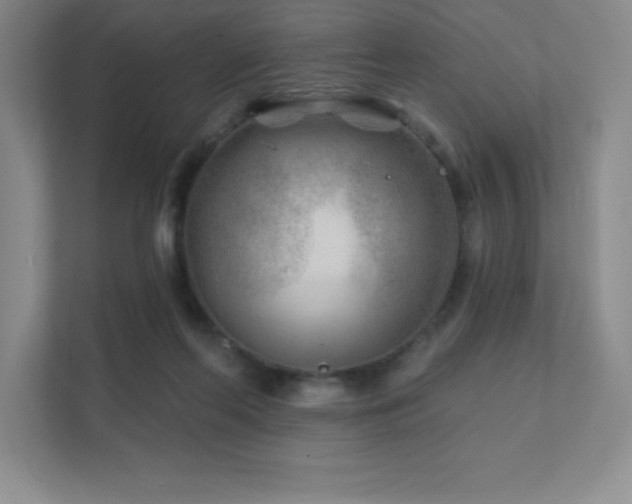 X0000111790214200907231149