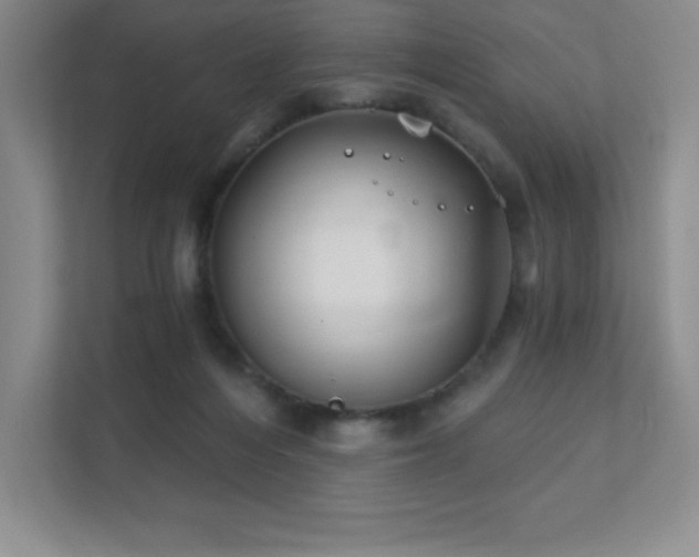 X0000111790216200907231149