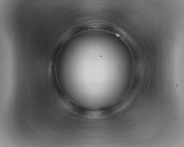 X0000111790217200907231149