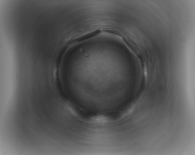 X0000111790219200907231149