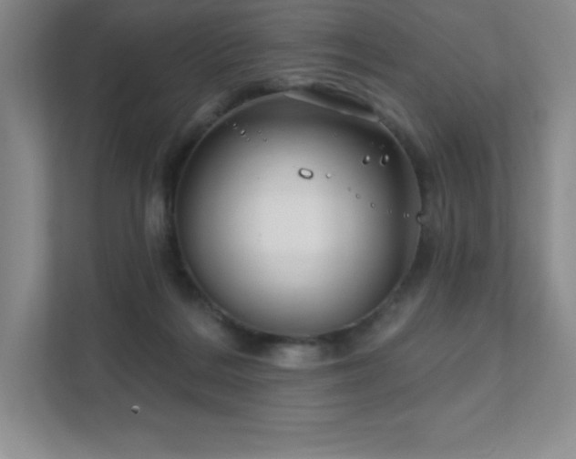 X0000111790220200907231149