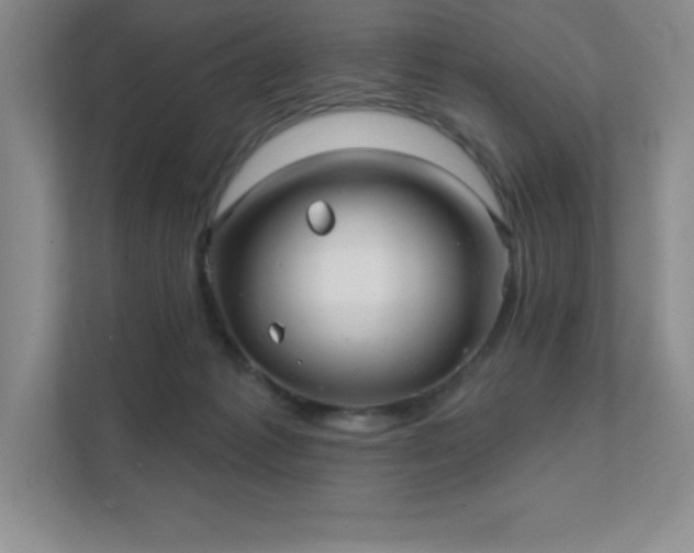 X0000111790221200907231149