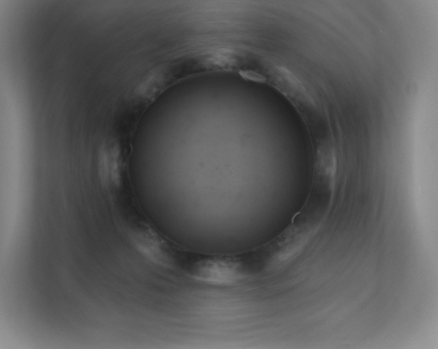 X0000111790223200907231149