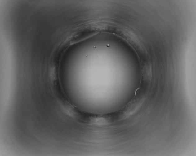 X0000111790224200907231149