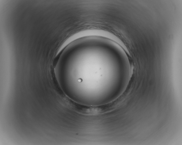 X0000111790225200907231149