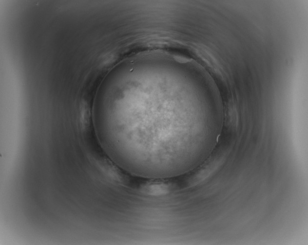 X0000111790228200907231149