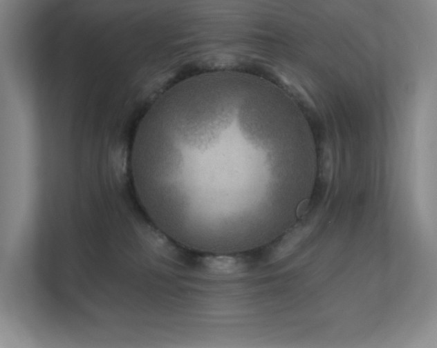 X0000111790230200907231149